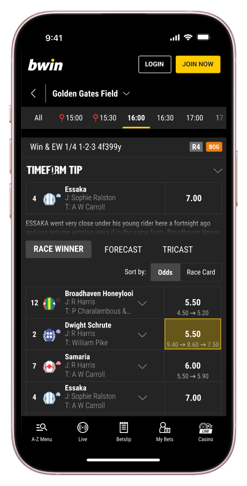 initial horse racing interface